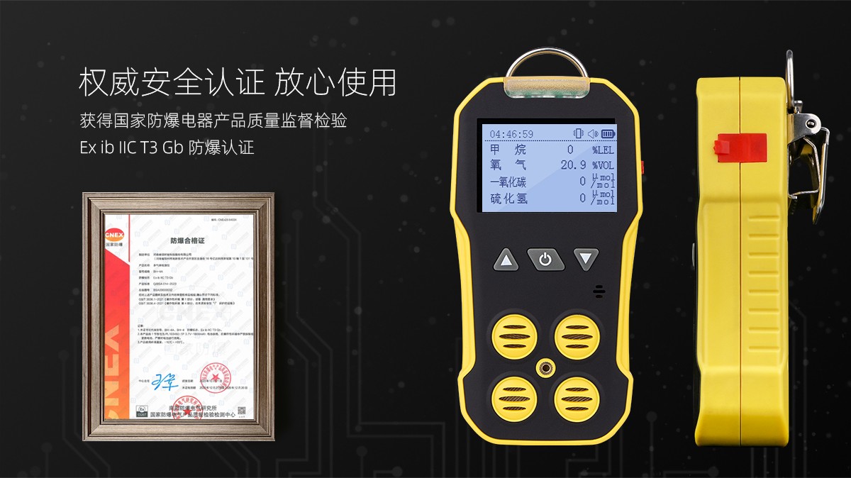 BH-4A新版-甲烷详情_03.jpg