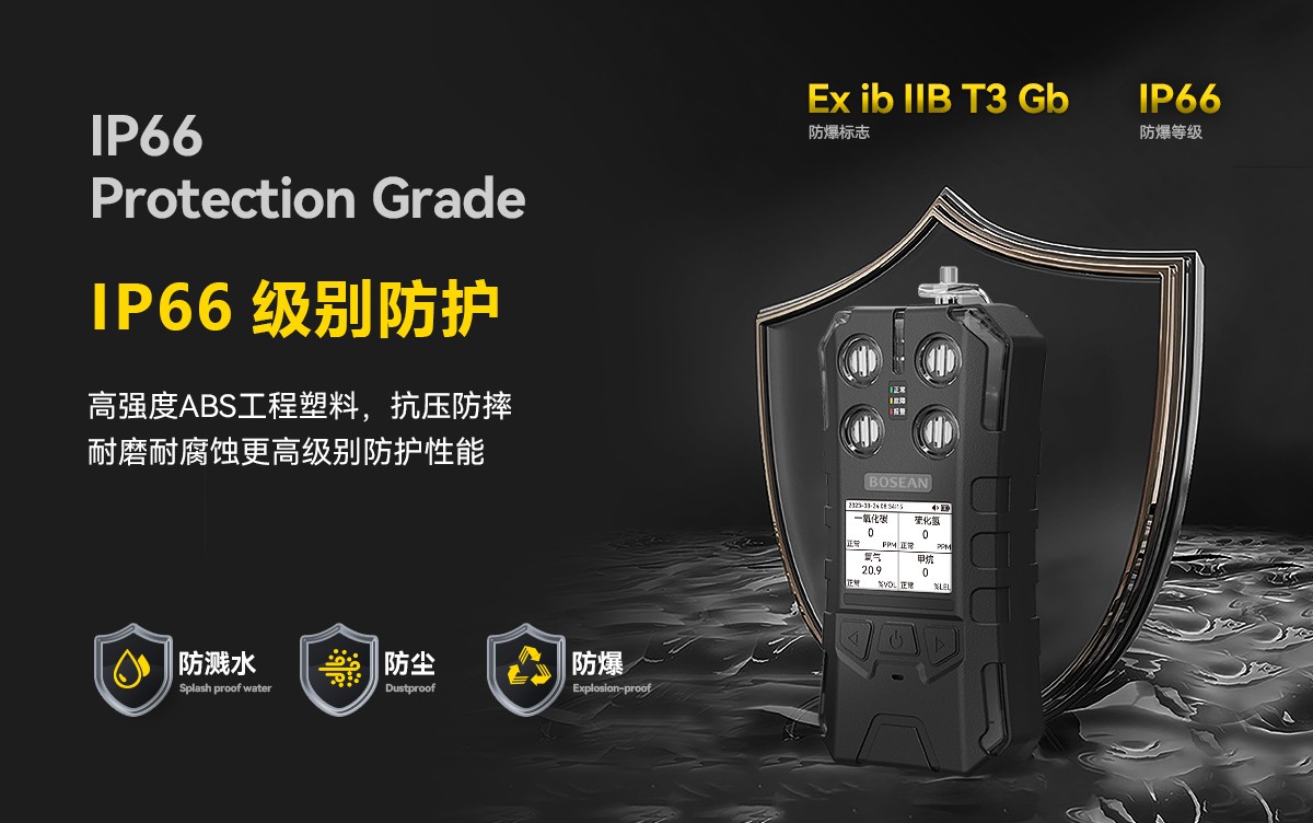 BT-S40详情改甲烷-25_03.jpg